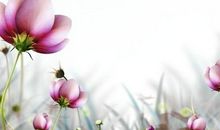 语文读后感的写作中，如何找寻感慨点以突显情意与智慧