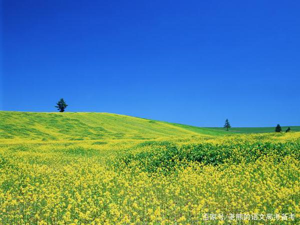 高考作文素材(人物篇21):凉山救火英雄、孙祝安、公益摄影师