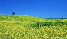 高考作文素材（人物篇21）：凉山救火英雄、孙祝安、公益摄影师