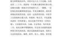 最后一只旅鸽 动物的自述作文700字