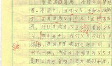 一只碗作文1300字