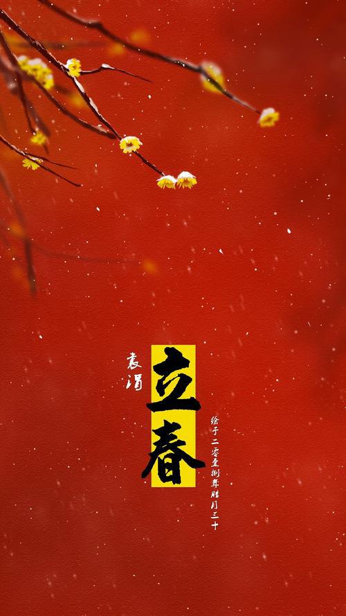 【春节随笔】雪花飘飘 何处为家？_1500字