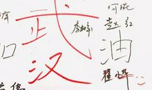 向最美的逆行者们致敬 写给疫情一线的英雄作文600字