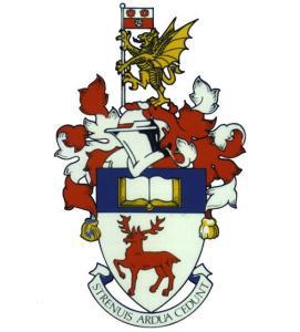 英国南安普顿大学MBA课程和奖学金详解