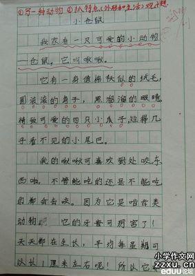 “蜗牛侠” 描写蜗牛的作文400字
