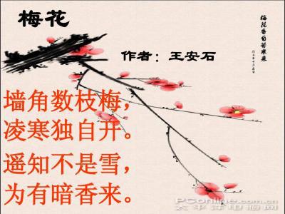 寒假不再寒_700字