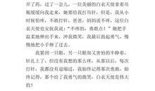 这一次疫情作文600字 天使