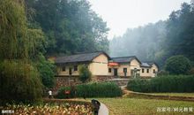 树元教育：“抗疫”优秀作文四篇，你败给小学生的不只是“王者”