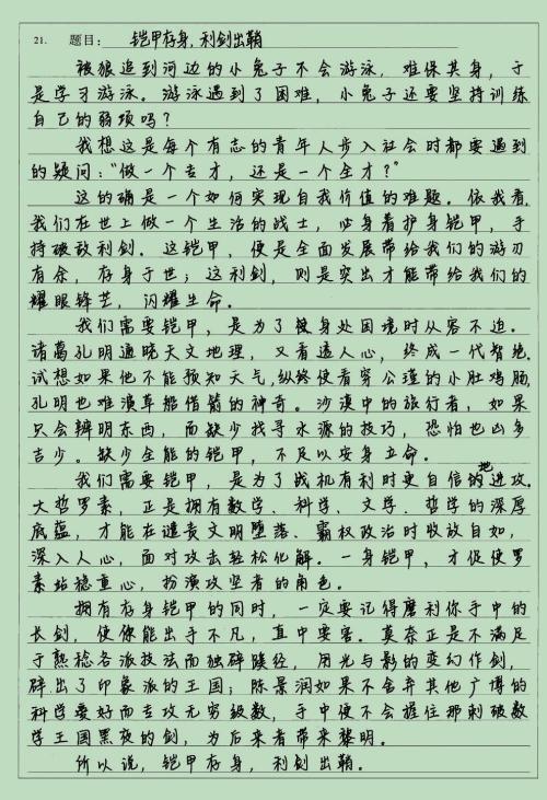 2008年高考作文山东卷满分佳作：蝶变_1200字