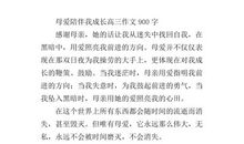 我与中国紧密相连 高三作文900字