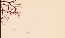 落花尽美然不扫 高三作文800字