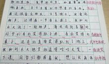 我的家人 五年级写人作文400字