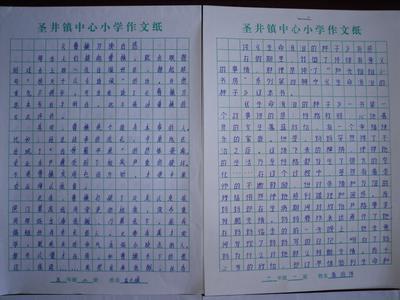 实用也是一种美 读后感300字
