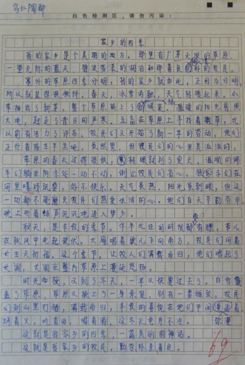 中国与我，如母与子 高三作文800字