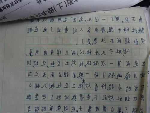 愿为流星，不惜一瞬-高中随笔800字
