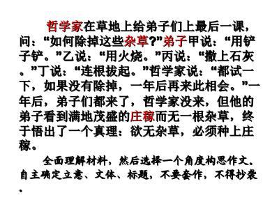 落叶不扫，别样留情 高三作文800字