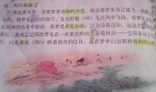 春风依旧暖-战疫情作文500字