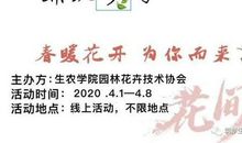 遇见春天-春暖花开作文700字