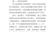 初三状物作文：喷泉_800字