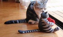 笑死人的中考零分作文(爆笑)