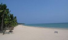 美丽的椰林湾 五年级写景作文300字