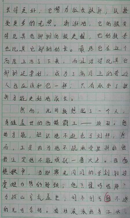 关于挫折的作文：生活因挫折而精彩_550字