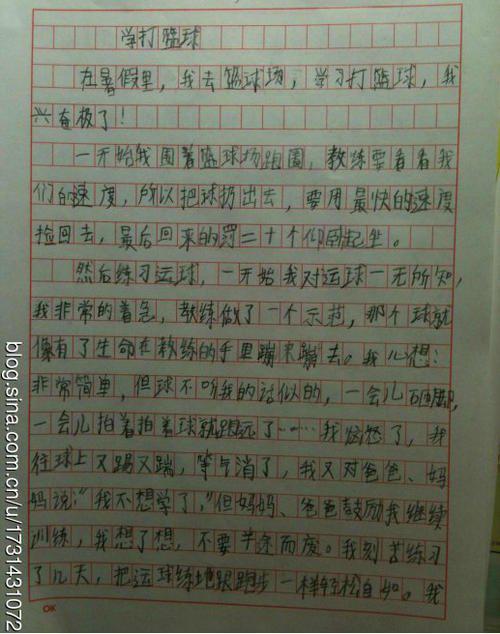 初中篮球比赛作文