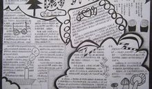 高中保护环境的议论文