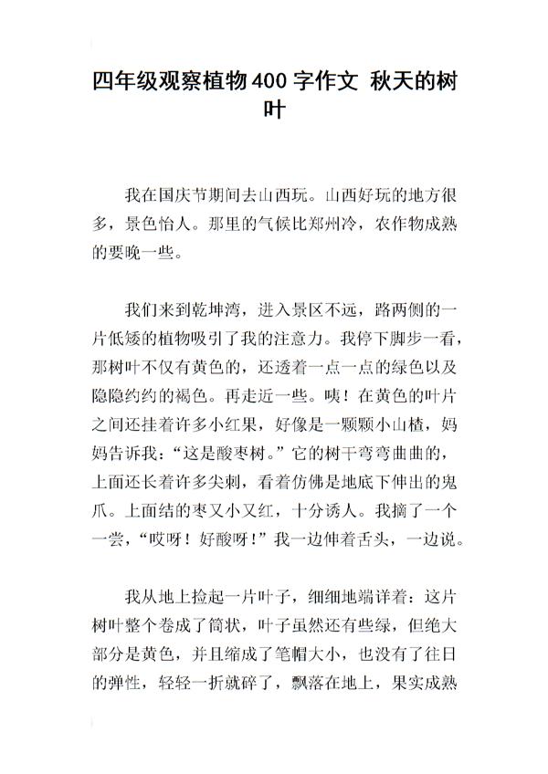 树叶的泪水 四年级观察树叶作文400字