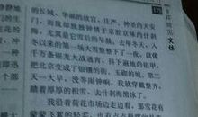 不一样的寒假 难忘的寒假作文700字