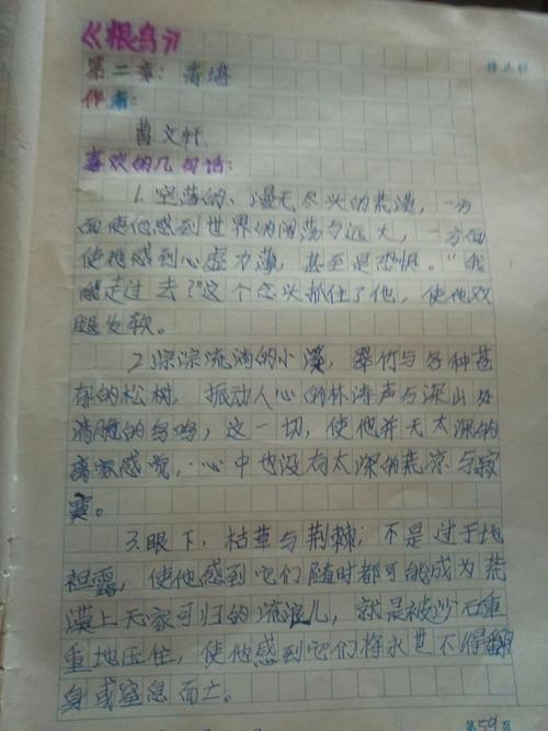 根鸟读书笔记