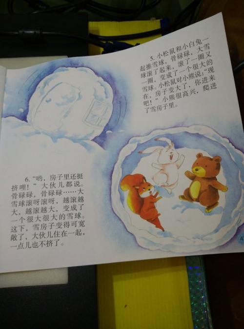 中班语言《雪房子》的教学反思