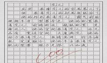 主厨助手打工作文