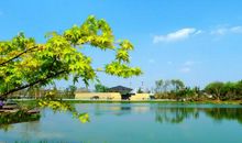 最美的风景-四季美景作文400字