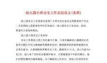 关于幼儿园小班工作总结范文5篇