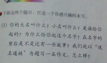 故乡，那片湖-写景的作文500字