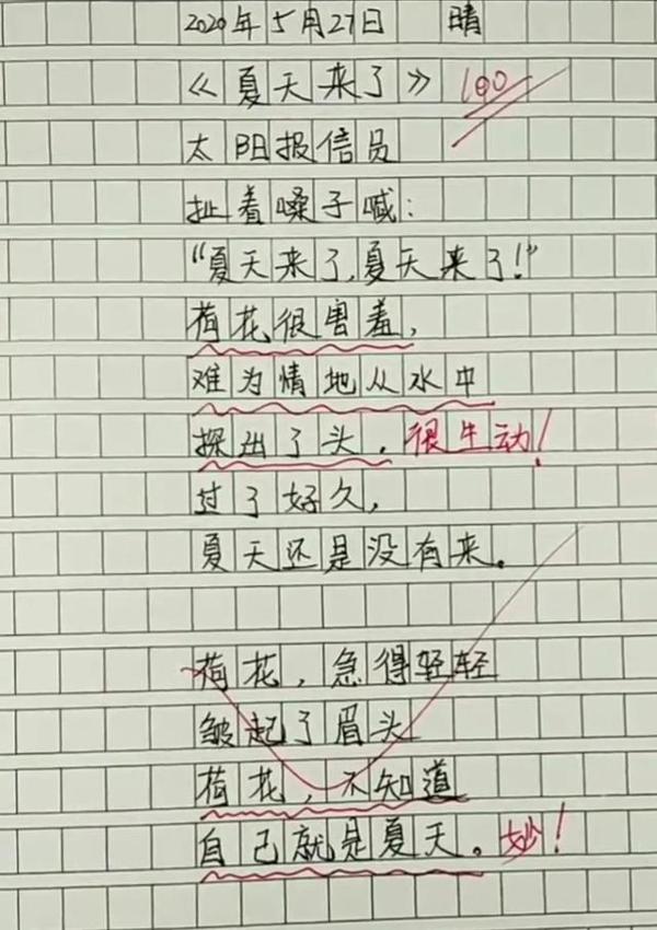 小学生作文《孤独》火了,仅三行字却获老师赞赏,网友:太有才了 2