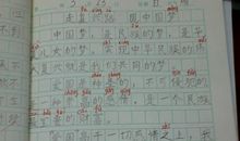 最好的我们-小学记叙文400字