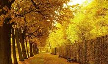 四年级学生作文：我最敬佩的人