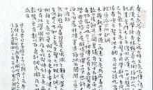 冬将尽，春可期 共抗疫情作文1300字