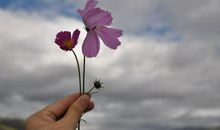 人生路上快乐多-优秀记叙文1000字