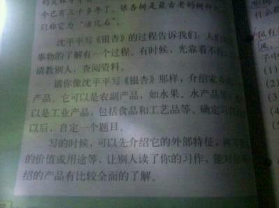 忘不了，我的家乡 描写家乡的作文500字