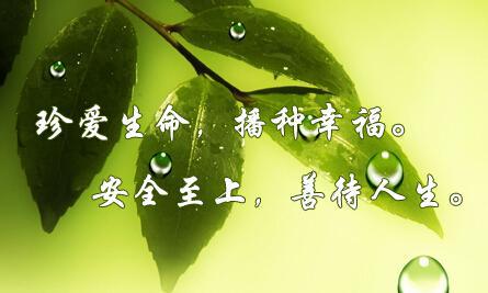 珍爱生命_750字
