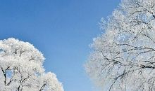 冬天的雪景_800字