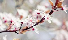 简单3步，就把春天描绘的多姿多彩，老师看了这些作文竟然给满分！