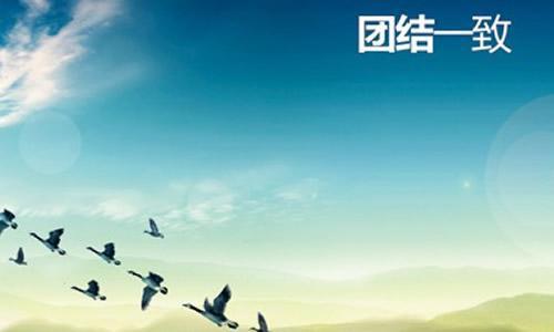 关于团结的作文：团结_300字