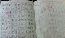 学游泳 四年级记事作文300字