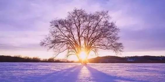 金玉良言是冬日的一抹暖阳_1500字