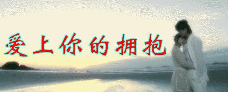 既然无法放手，头破血流也只能往前走_2000字