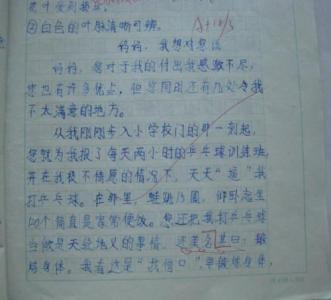 我眼中的妈妈 四年级我的妈妈作文700字